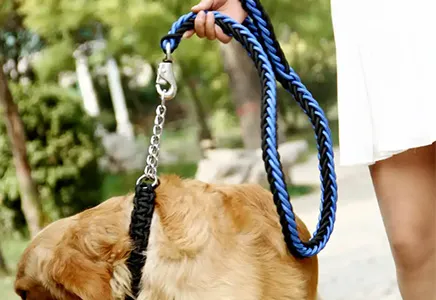 Tool Lanyard Application in Smart Dog Walking Systems