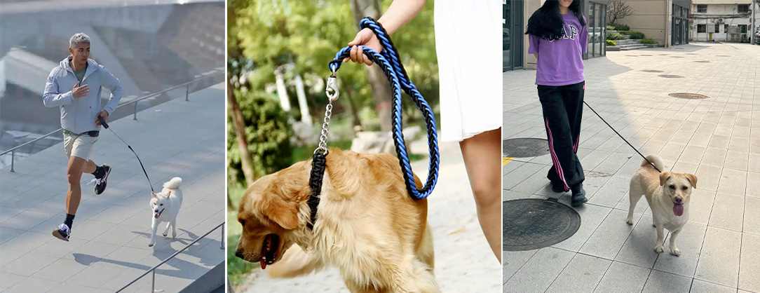 Tool Lanyard Application in Smart Dog Walking Systems